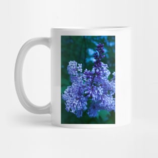 Lilacs Mug